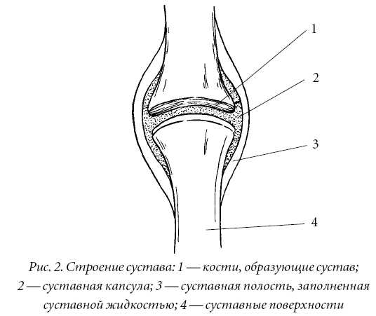 Боль в области груди  и спины народная медицина / народные рецепты и средства